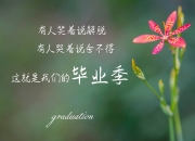 开云下载-地中海的蓝与安第斯山脉的红，2026之夏，布罗佐维奇用第三只眼撕开秘鲁防线