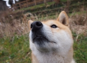 开云体育-奥运前哨战，快船打穿湖人，这场洛城唯一性如何定义赛季拐点？