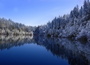 开云下载-当足球遇上篮球，德甲争冠战与步行者生死战揭示的赢家密码