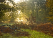 开云体育中国-火焰与寒冰，坎特燃爆友谊赛，拉齐奥演绎战术教科书