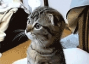 开云sport-从配角到掌控者，奥亚尔萨瓦尔的觉醒之夜，与那不勒斯的窒息压制