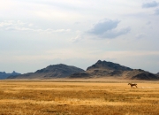 开云体育登录-东方武士镇红魔！富安健洋让世界遗忘卢卡库