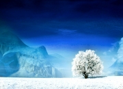 开云下载-特奥硬仗之王，美国队稳稳拿下土耳其，彰显冠军风采