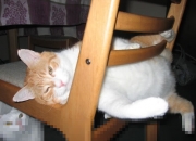 开云体育平台APP-北欧风暴席卷伦敦！内马尔导演惊天逆转，挪威之夜切尔西王朝颤动