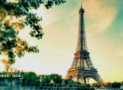 开云体育官网-秩序与荣耀的交汇点，当波兰的外交铁腕遇见卡瓦哈尔的季后赛狂飙