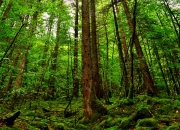 开云体育app-奥纳纳神扑救赎旧主，贝蒂斯炮火误伤爱尔兰新星