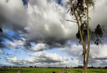 开云平台-当紫金军团遇上日耳曼战车：一场改写体育商业版图的跨界烽烟