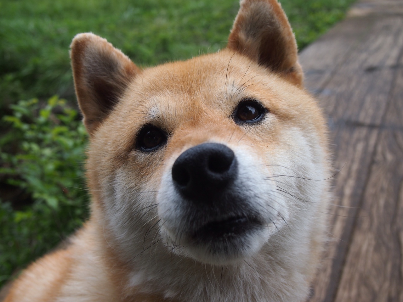 F1发动机法则，杜兰特在街道赛之夜的唯一性进攻