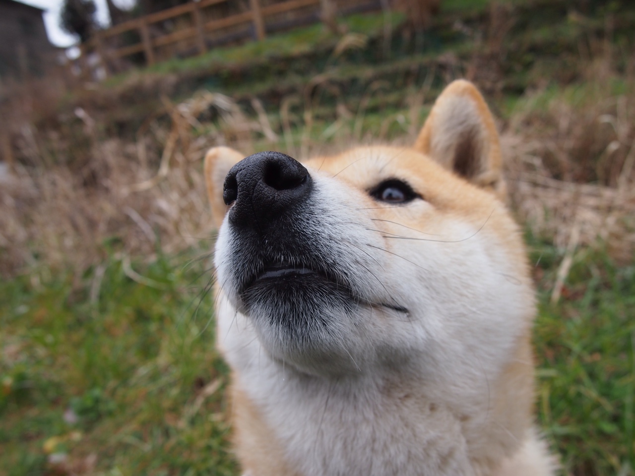 奥运前哨战,快船打穿湖人,这场洛城唯一性如何定义赛季拐点?