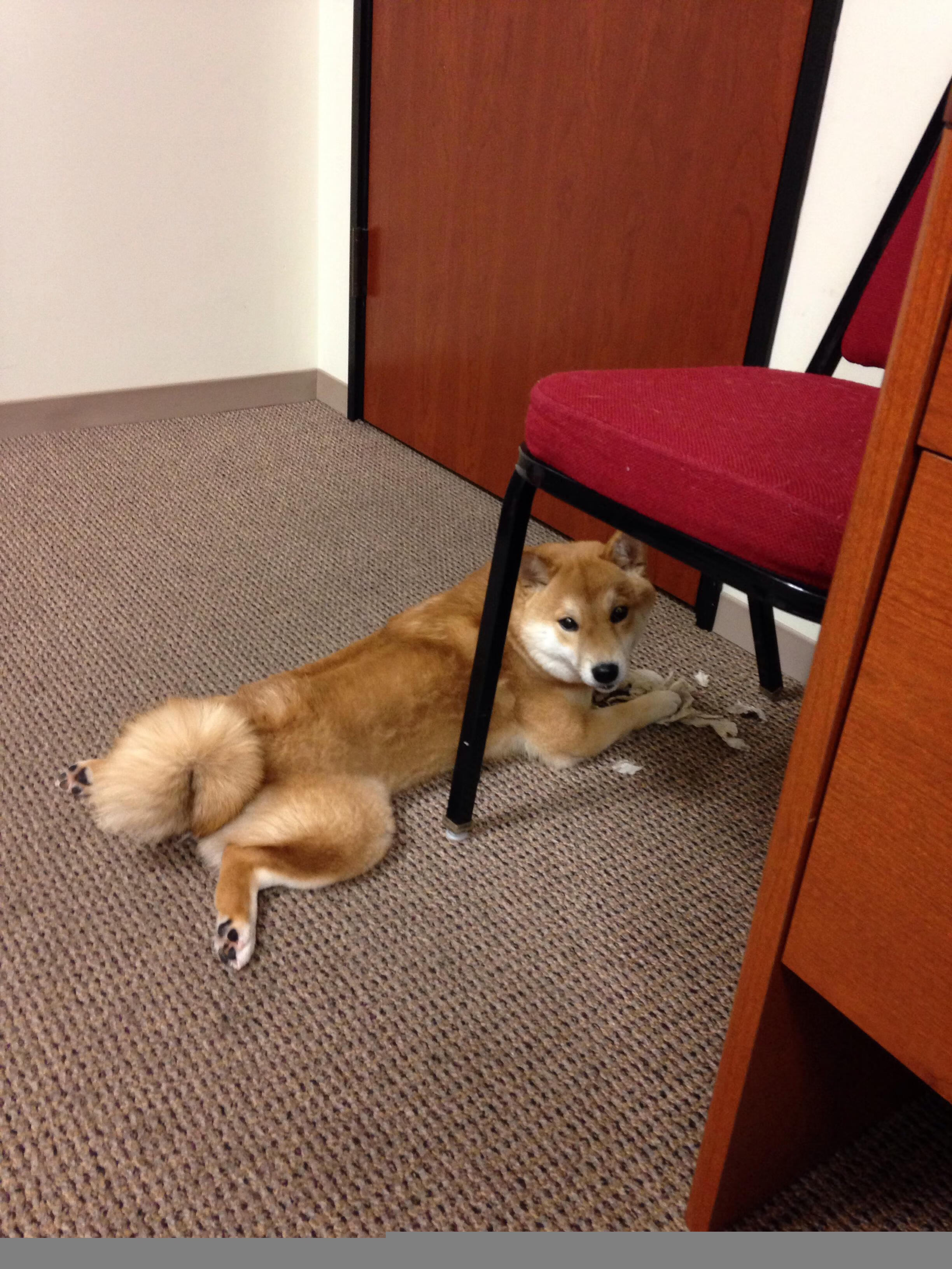 风暴眼,当拉梅洛以无名者姿态撕裂上海队的钢铁防线