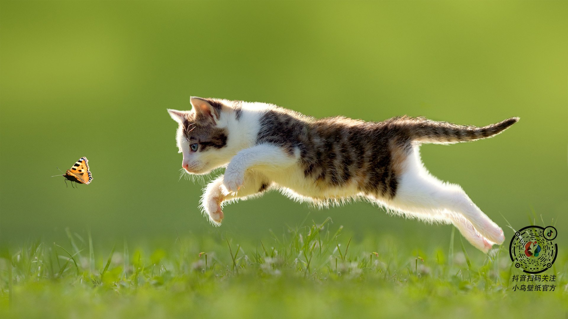 唯一救世主,皮克与那个撕碎宿命的七分钟