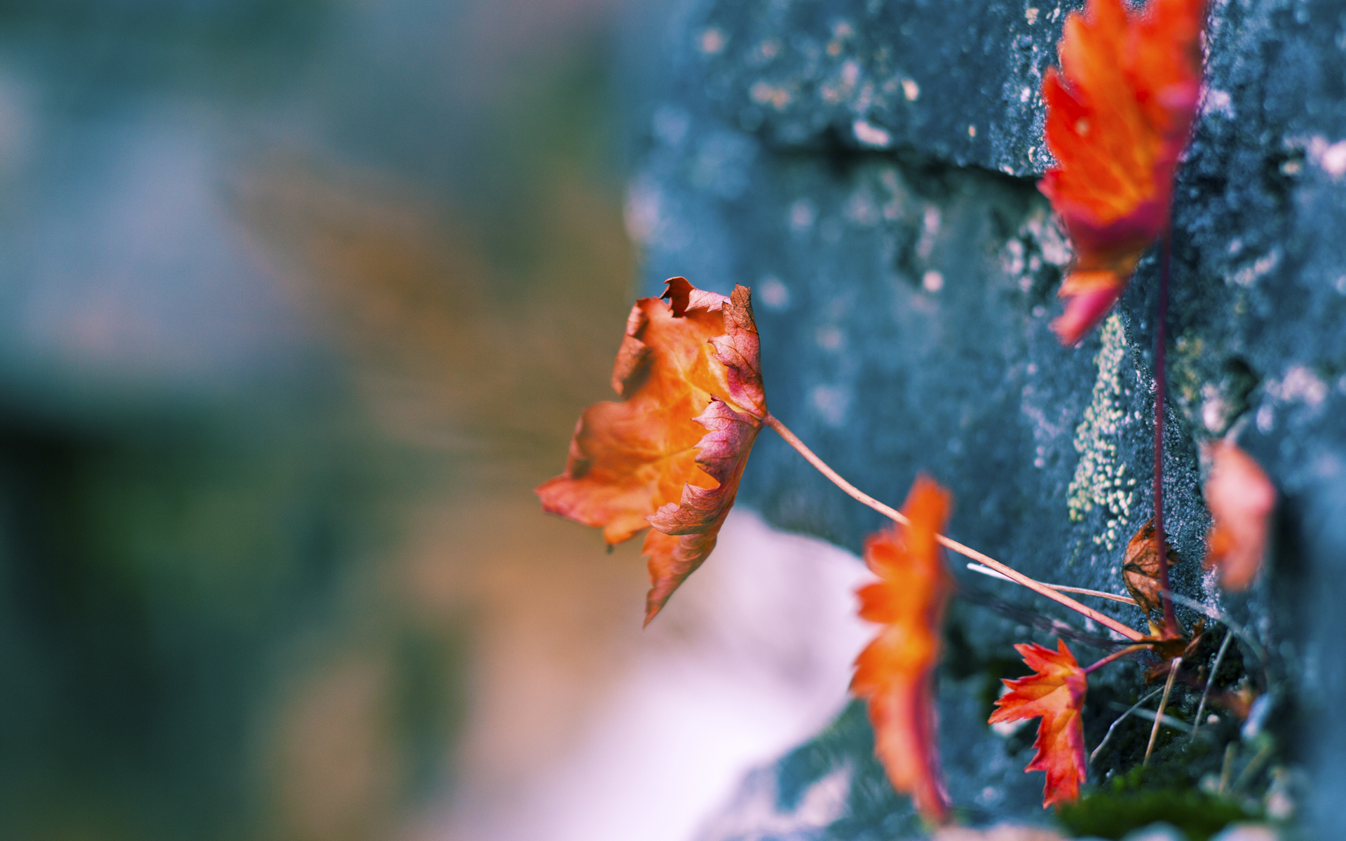 绿茵场上的扣篮,当活塞的钢铁洪流击溃黄蜂的华丽风暴