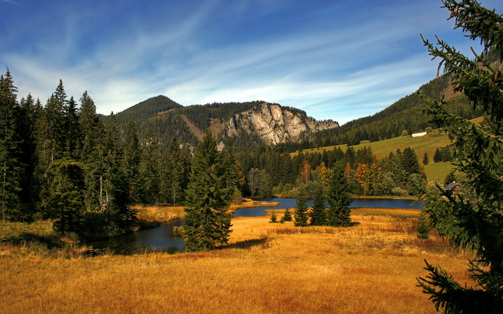 关键时刻的利刃，利拉德一剑封喉，马刺绝境重生