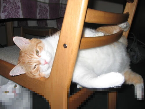 北欧风暴席卷伦敦！内马尔导演惊天逆转，挪威之夜切尔西王朝颤动