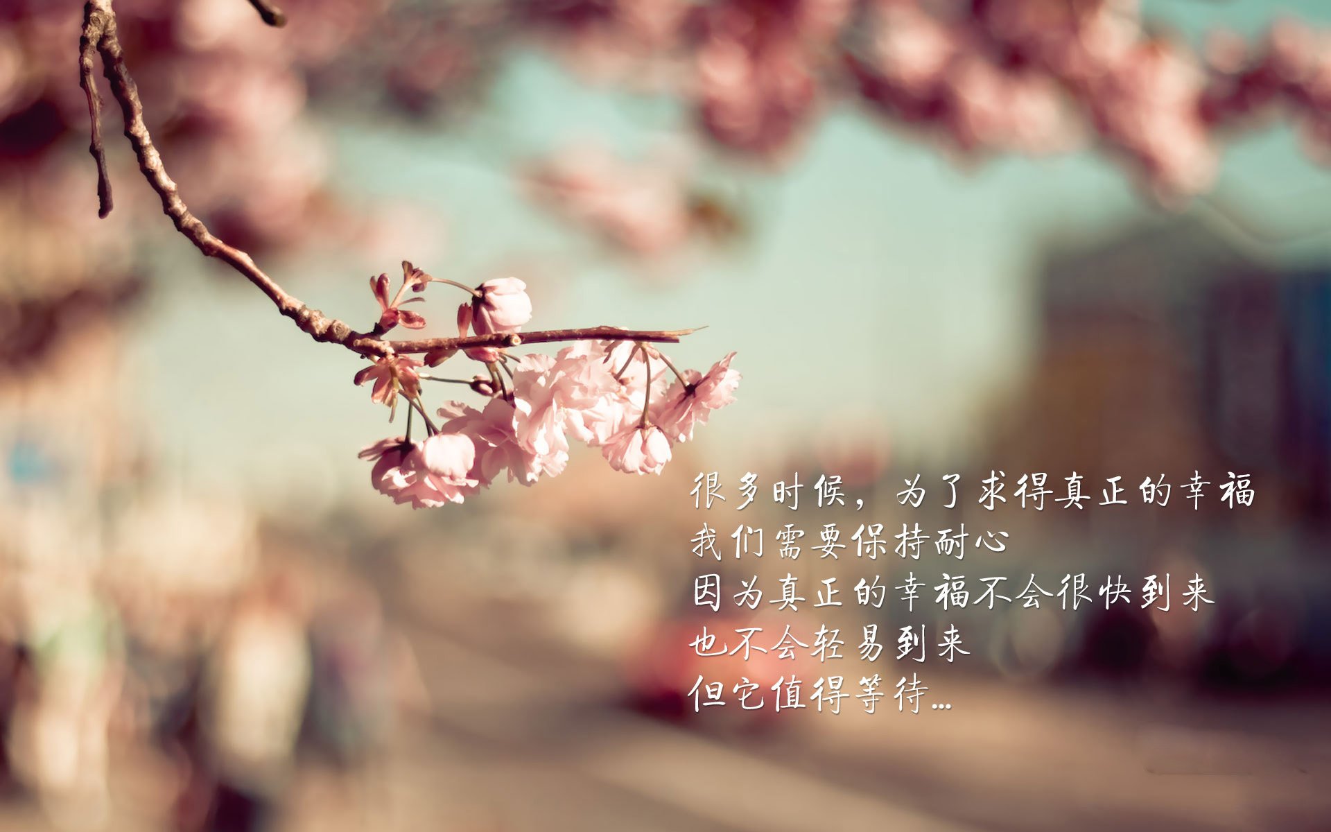 群山与峡谷的对话，当瑞士冰川映照委内瑞拉晚霞，三笘薰在无人区独舞