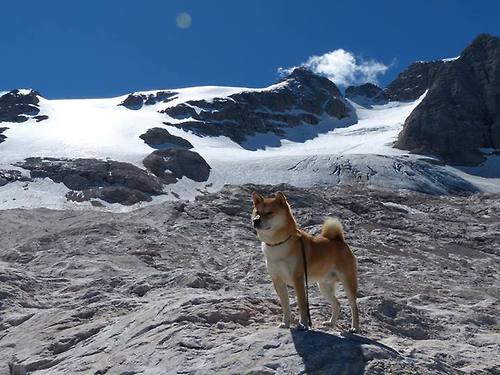 双线焦点,西甲国家德比硝烟与塞内加尔的巴黎突围战