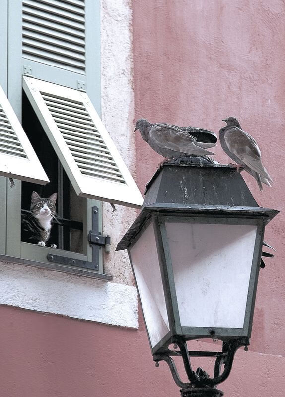 时空裂缝中投出唯一三分,当克莱在骑士血拼热火时突然降临