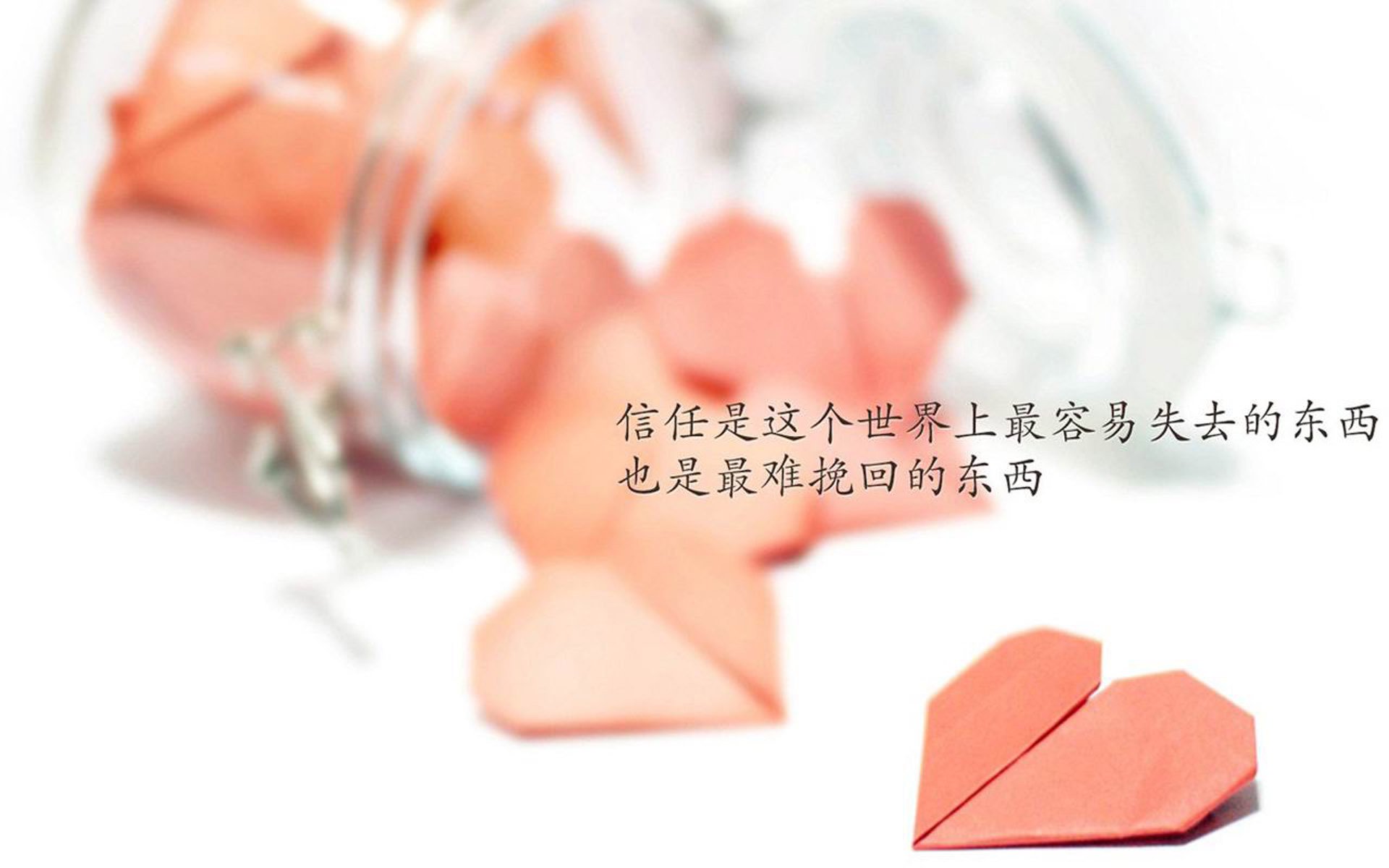 B费调度中场定乾坤,日本丹麦激战2026世界杯B组暗藏唯一剧本